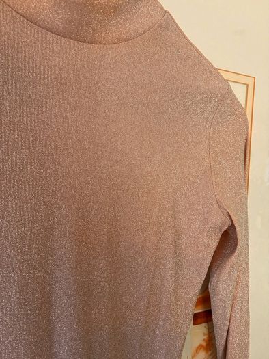 Reformation Bailey turtle neck