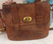 Fossil Bag