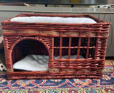 Pueblo Cat Den