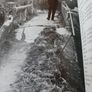 John Healy / The Death Of An Irish Town/ 1st edition/ Mercier/ 1968 Image 6