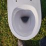 toilet Image 3