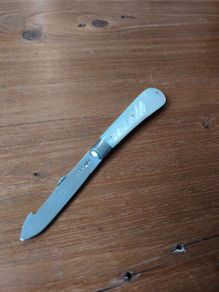 Silver Mother of Pearl Fruit Knife