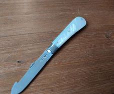 Silver Mother of Pearl Fruit Knife