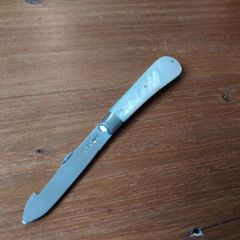 Silver Mother of Pearl Fruit Knife