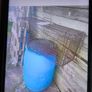 cage trap Image 2