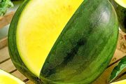 (W) Watermelon Janosik Yellow seeds 1g (125623)
