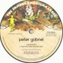 Peter Gabriel - Peter Gabriel Numbered Limited Edition Remastered 2 x Vinyl LP Image 6