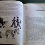 A Thig na tit orm Irish language Gaeilge Image 6
