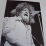 Luke Kelly. Image 10