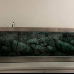 Narrow Aqua Scape Tank