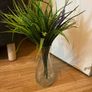 Quick Sell plant Image 2