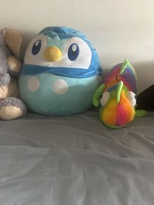 3 large teddy - free