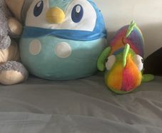 3 large teddy - free
