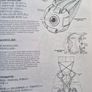 The Anatomy Colouring Book (3rd edition) Image 3