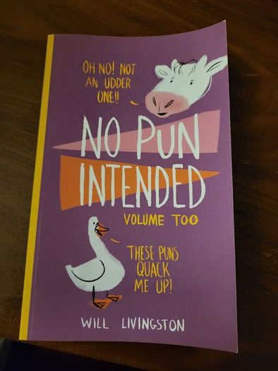 Book of Puns
