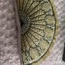 Cushion - Victorian Fan - Pink (Brown Thomas) Image 3