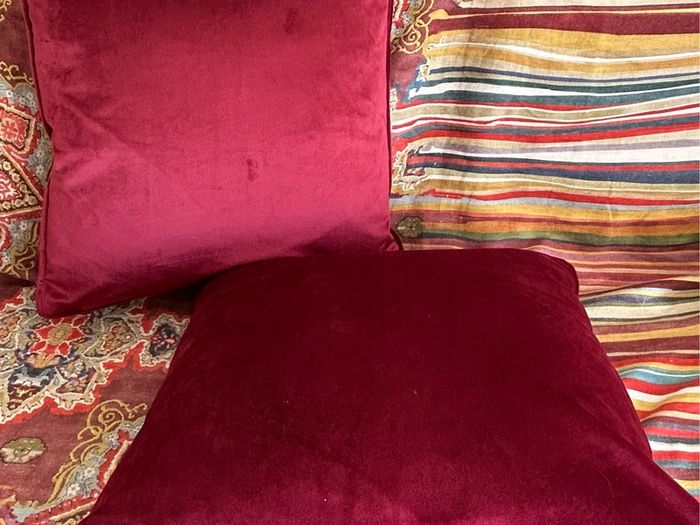 Red velvet cushion set (set of 2)