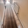 Lino for Sale Image 3