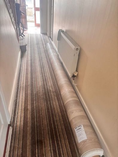 Lino for Sale