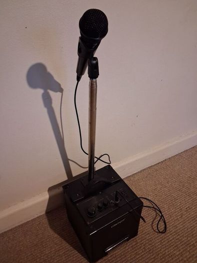 karaoke speaker