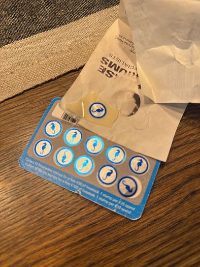 Seahorse aquarium voucher