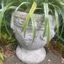 Old Garden Planters Image 3
