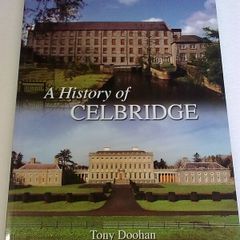 A History of Celbridge Ireland Irish Kildare local history