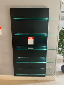 Luminated Shelving Unit