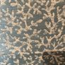 Roman blind Image 2
