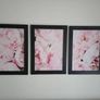 3 pictures in wooden frame 53x72 cm each Image 3