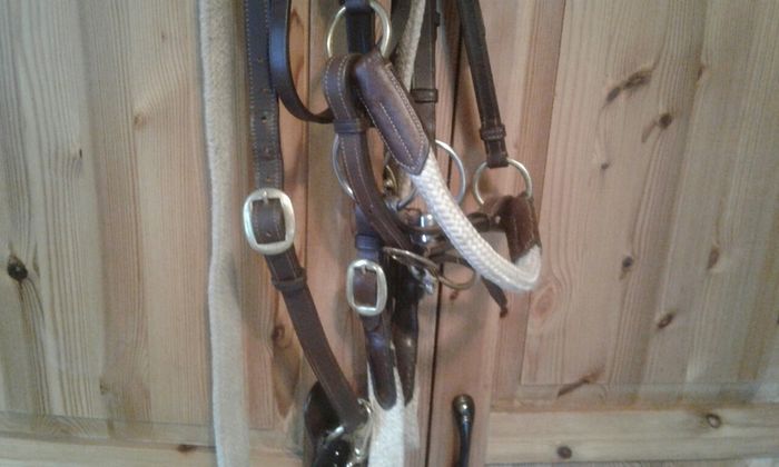 Bridle /bitless