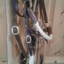 Bridle /bitless Image 3