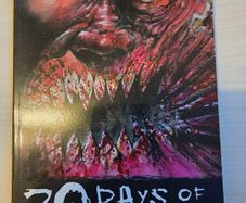 30 days of night graphic novel vol 1