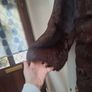vintage Coney fur coat Image 3