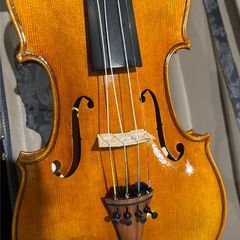 Handmade 4/4 Full Size Violin with Case