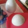 hatchimal Image 8