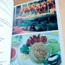 Hawkers Delight cookbook Image 6