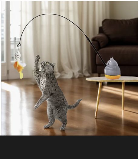 Cat Toy