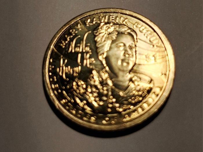 USA Native American Dollar coins