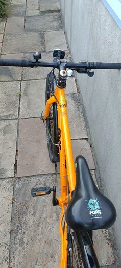 Frog Bike 69