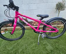 Frog bike