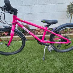 Frog bike
