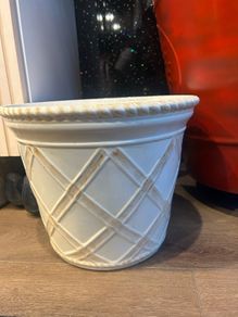 Plant Pot