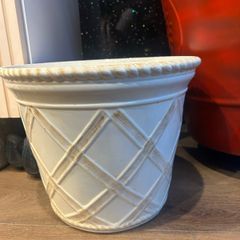 Plant Pot