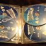 Back To the Future Trilogy,4 Disc Ultimate Edition Image 3