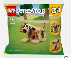 LEGO Creator 30666 Gift Animals Dog Bear Squirrel 3 in 1 Polybagged 75 Piece Set