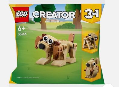 LEGO Creator 30666 Gift Animals Dog Bear Squirrel 3 in 1 Polybagged 75 Piece Set