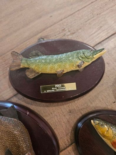 fishermans tale plaques