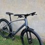 Trek Dual Sport Image 2