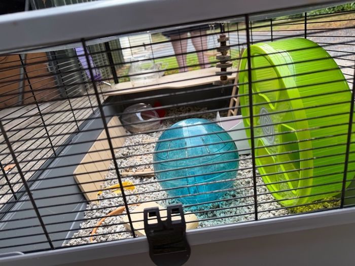 Large Animal Cage & Accessories